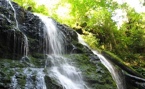 A waterfall in Moran State Park on Orcas Island